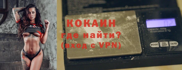 прущие грибы Богородск