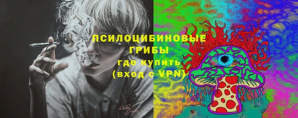 круглые Богородицк