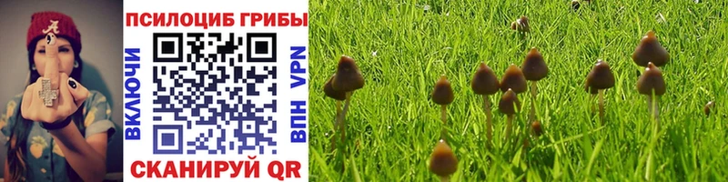Псилоцибиновые грибы прущие грибы  Реутов 